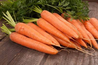 Лучшие сорта моркови для зимнего хранения - ogorod.ru