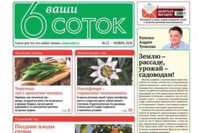 Вышел в свет второй ноябрьский номер газеты «Ваши 6 соток» - sotki.ru