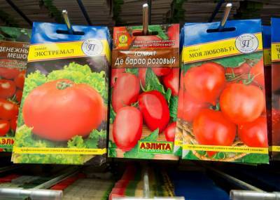 Почему семена томатов нужно покупать уже зимой и как рассчитать, сколько пакетиков вам нужно - ogorod.ru