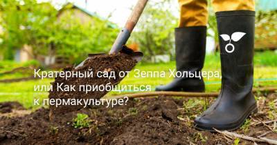 Кратерный сад от Зеппа Хольцера, или Как приобщиться к пермакультуре? - botanichka.ru