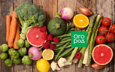 Что съесть, чтобы похудеть: овощи и фрукты с самой низкой калорийностью - ogorod.ru