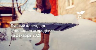 Лунный календарь садовода и огородника на декабрь 2020 - botanichka.ru