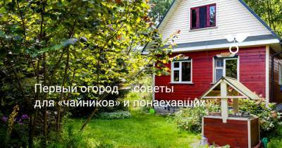 Первый огород — советы для «чайников» и «понаехавших» - botanichka.ru