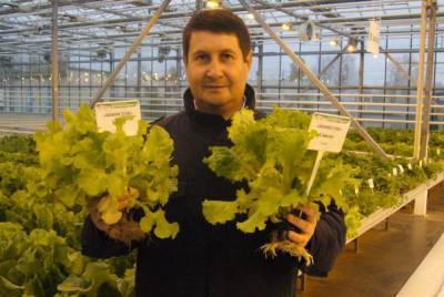 Как вырастить зимой зелень для салата? - aif.ru