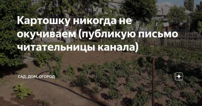 Картошку никогда не окучиваем (публикую письмо читательницы канала) - zen.yandex.ru