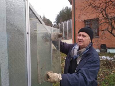 Как подготовить теплицу к следующему садовому сезону? - oblgazeta.ru