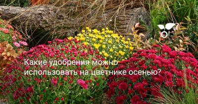 Какие удобрения можно использовать на цветнике осенью? - botanichka.ru