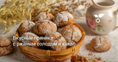 Вкусные пряники с ржаным солодом и какао - botanichka.ru