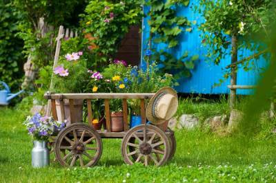 10 простых способов создать бюджетный и красивый сад - ogorod.ru