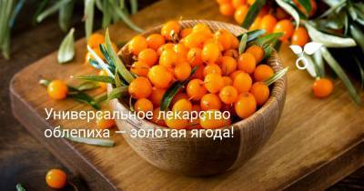 Универсальное лекарство облепиха — золотая ягода! - botanichka.ru