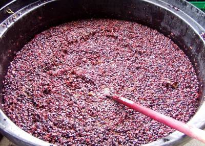 Как сделать чачу из виноградного жмыха в домашних условиях - fermilon.ru