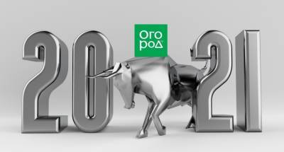 Новый год 2021 (год Быка): приметы, поверья и немного волшебства на удачу - ogorod.ru