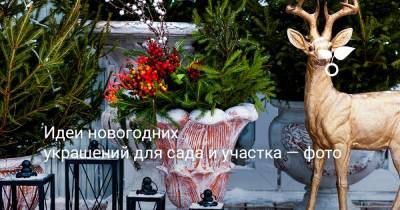 Идеи новогодних украшений для сада и участка — фото - botanichka.ru