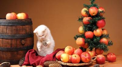 Как необычно украсить новогоднюю елку яблоками и сладостями - supersadovnik.ru