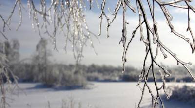 Тотальный ледниковый период: какой будет погода на Новый год - supersadovnik.ru