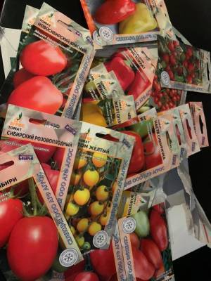 Друзья из новосибирского Агроса прислали сегодня на испытание 20 гибридов томатов и 6 перцев. - sotki.ru - Россия