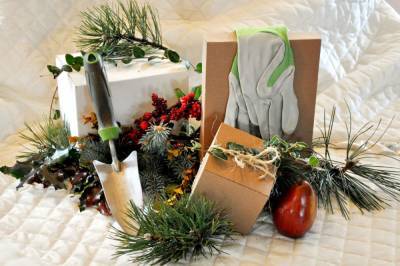 Что подарить заядлому дачнику на Новый год – идеи необычных подарков - ogorod.ru