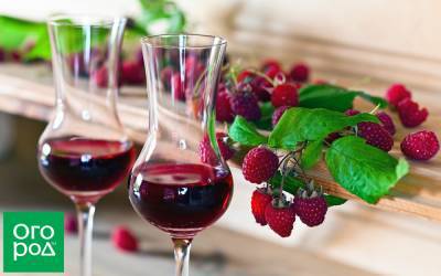 Вино, ликер и настойка из малины – 6 проверенных рецептов - ogorod.ru