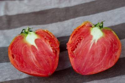 Вкус томата – как не потерять в погоне за разнообразием - ogorod.ru