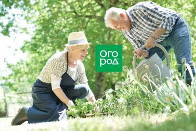 30 дел, которые надо сделать в саду, огороде и цветнике в июле - ogorod.ru