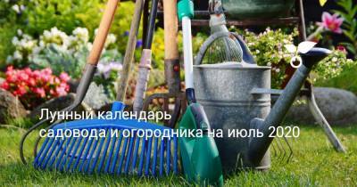 Лунный календарь садовода и огородника на июль 2020 - botanichka.ru