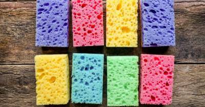 Зачем губки для мытья посуды делают всех цветов радуги? - rus.delfi.lv