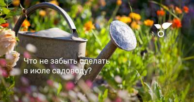 Что не забыть сделать в июле садоводу? - botanichka.ru