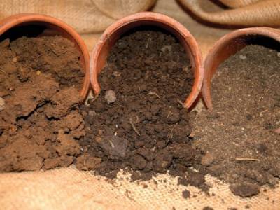 Выбор правильной почвы для комнатных растений - sad-dacha-ogorod.com