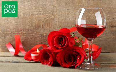 Что можно приготовить из лепестков роз – рецепты варенья, вина, настоек - ogorod.ru
