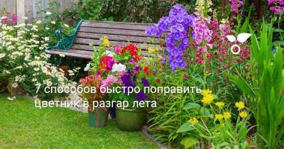 7 способов быстро поправить цветник в разгар лета - botanichka.ru