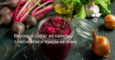 Вкусный салат из свёклы с чесноком и луком на зиму - botanichka.ru