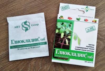 5 менее вредных препаратов, которые заменят медный купорос - orchardo.ru