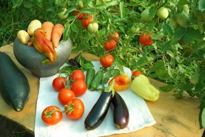 28 способов ускорить созревание томатов, перца, баклажанов и других овощей - ogorod.ru