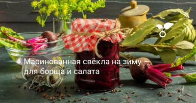 Маринованная свёкла на зиму — для борща и салата - botanichka.ru
