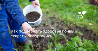 Как поддержать здоровье почвы – секреты биоорганики - botanichka.ru