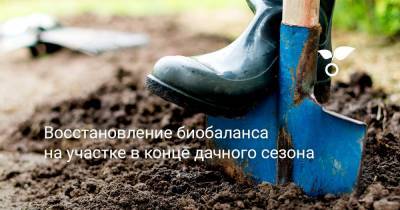 Восстановление биобаланса на участке в конце дачного сезона - botanichka.ru