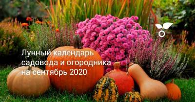 Лунный календарь садовода и огородника на сентябрь 2020 - botanichka.ru