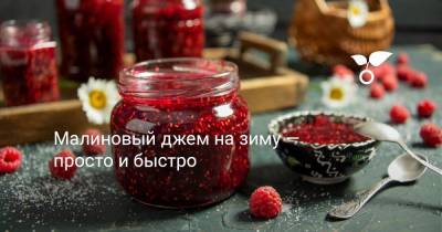 Малиновый джем на зиму — просто и быстро - botanichka.ru