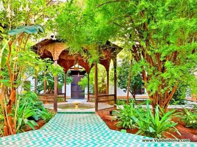 Сад в мавританском стиле (фото) – особенности и растения - vsaduidoma.com