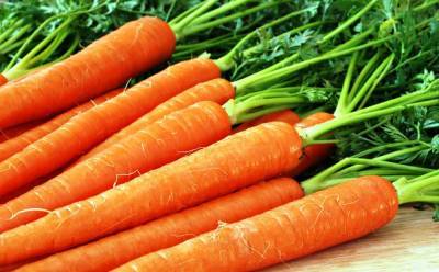 Как сохранить морковь: современные способы хранения - 7ogorod.ru