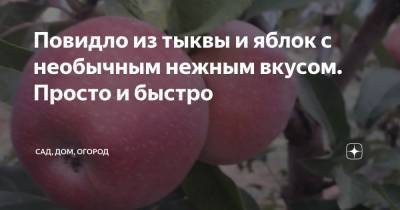 Повидло из тыквы и яблок с необычным нежным вкусом. Просто и быстро - zen.yandex.ru