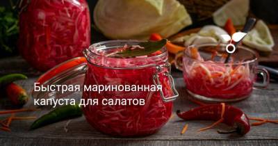 Быстрая маринованная капуста для салатов - botanichka.ru