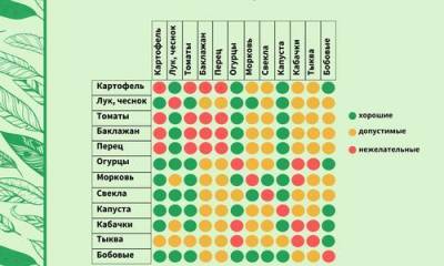 Севооборот в огороде: таблица плодосмена овощных культур - 7dach.ru