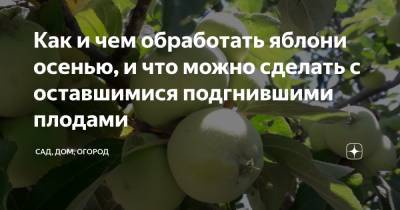 Как и чем обработать яблони осенью, и что можно сделать с оставшимися подгнившими плодами - zen.yandex.ru