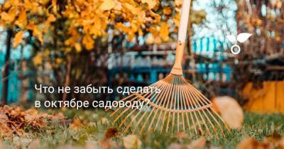 Что не забыть сделать в октябре садоводу? - botanichka.ru