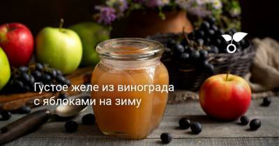 Густое желе из винограда с яблоками на зиму - botanichka.ru - г. Виноград