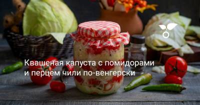 Квашеная капуста с помидорами и перцем чили по-венгерски - botanichka.ru - Чили
