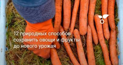 12 природных способов сохранить овощи и фрукты до нового урожая - botanichka.ru