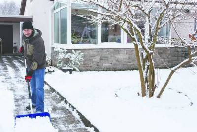 Уход за садом зимой: необходимые мероприятия - sotki.ru