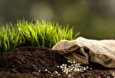 Какие удобрения вносить весной в почву: подробная инструкция, чем подкормить сад, огород, цветник и газон - selomoe.ru